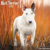 CALENDRIER 2026 - BULL TERRIER