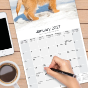 CALENDRIER 2027 - CAIRN TERRIER