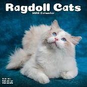 CALENDRIER 2026 - CHATS RADGOLL