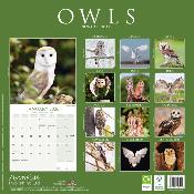 CALENDRIER 2026 - CHOUETTES