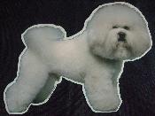 AUTOCOLLANT  Tête - BICHON FRISE