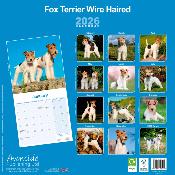 CALENDRIER 2026 - FOX TERRIER POIL DUR