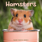 CALENDRIER 2027 - HAMSTERS
