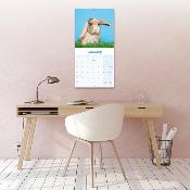 CALENDRIER 2026 - LAPINS BELIERS