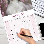 CALENDRIER 2026 - LEVRIER AFGHAN