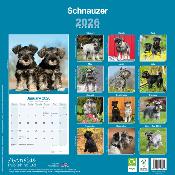 CALENDRIER 2026 - SCHNAUZER