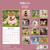 CALENDRIER 2026 - SHIBA INU
