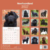 CALENDRIER 2027 - TERRE NEUVE
