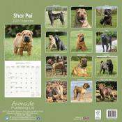 CALENDRIER 2022 - SHAR PEI