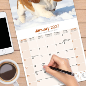 CALENDRIER 2027 - BASSET HOUND