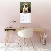 CALENDRIER 2026 - BOULEDOGUE FRANCAIS
