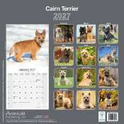 CALENDRIER 2027 - CAIRN TERRIER