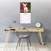 CALENDRIER 2027 - CHIHUAHUA