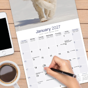 CALENDRIER 2027 - SAINT-BERNARD