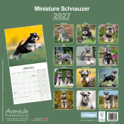 CALENDRIER 2027 - SCHNAUZER NAIN