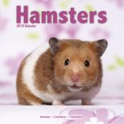 CALENDRIER 2019 - HAMSTERS