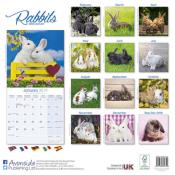 CALENDRIER 2019 - LAPINS