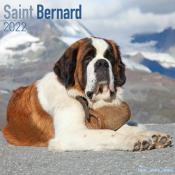 CALENDRIER 2022 - SAINT BERNARD