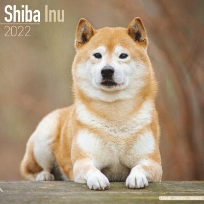 CALENDRIER 2022 - SHIBA INU