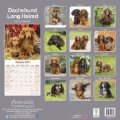 CALENDRIER 2023 - TECKEL POIL LONG