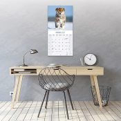 CALENDRIER 2027 - AKITA INU