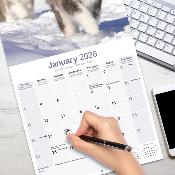 CALENDRIER 2026 - ALASKAN MALAMUTE