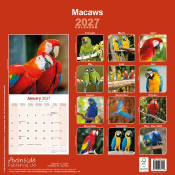 CALENDRIER 2027 - PERROQUET ARAS