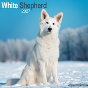 CALENDRIER 2027 - BERGER BLANC SUISSE