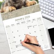 CALENDRIER 2026 - BORDER TERRIER