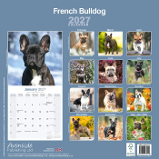 CALENDRIER 2027 - BOULEDOGUE FRANCAIS