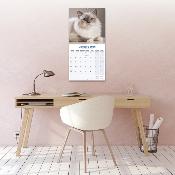 CALENDRIER 2026 - CHATS RADGOLL