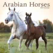 CALENDRIER 2027 - CHEVAUX ARABES