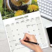 CALENDRIER 2026 - COCHONS D'INDE - COBAYES