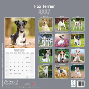 CALENDRIER 2027 - FOX TERRIER