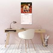 CALENDRIER 2026 - GREYHOUND