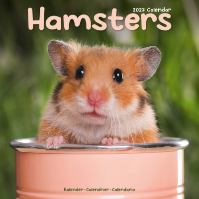 CALENDRIER 2027 - HAMSTERS