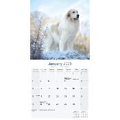 CALENDRIER 2026 - MONTAGNE DES PYRENEES