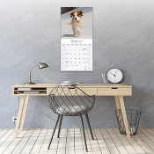 CALENDRIER 2027 - SAINT-BERNARD