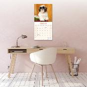 CALENDRIER 2026 - SHIH TZU