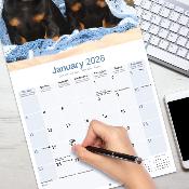 CALENDRIER 2026 - TECKEL POIL COURT