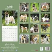 CALENDRIER 2022 - AKITA