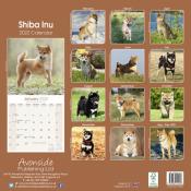 CALENDRIER 2022 - SHIBA INU