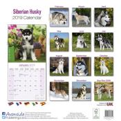 CALENDRIER 2019 - HUSKY