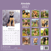 CALENDRIER 2027 - AIREDALE
