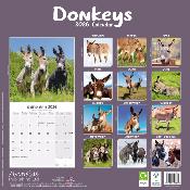 CALENDRIER 2026 - ANES
