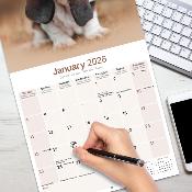 CALENDRIER 2026 - BASSET HOUND