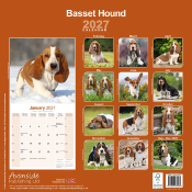 CALENDRIER 2027 - BASSET HOUND