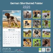 CALENDRIER 2026 - BRAQUE ALLEMAND