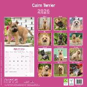CALENDRIER 2026 - CAIRN TERRIER