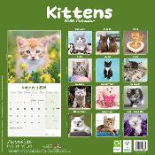 CALENDRIER 2026 - CHATONS Diverses races